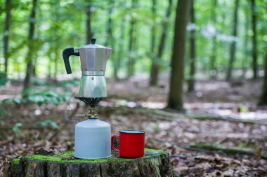Ormanda piknik. Ormanın ortasında kahve yapmak..