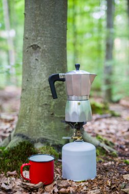 Ormanda piknik. Ormanın ortasında kahve yapmak..