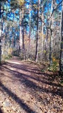 Peri masallarında sonbahar yürüyüşü.