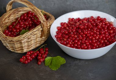 fresh ripe red currants in basket on dark background