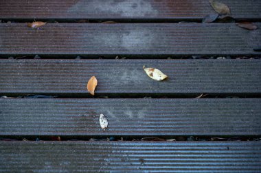 Autumn background for inscriptions