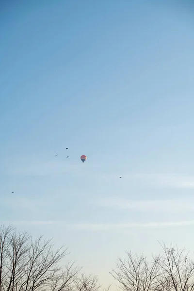 Hőlégballonok Kék Ellen Kiváló Minőségű Fénykép — Stock Fotó