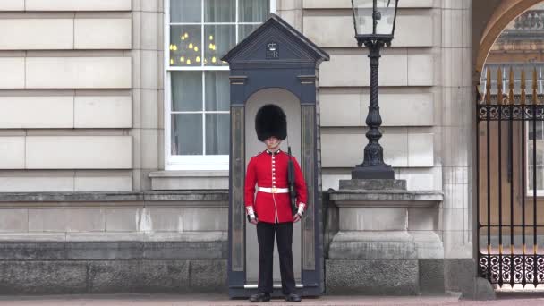 London Buckingham Palace Armed English Guard Marching Guarding Famous Places — Stock Video