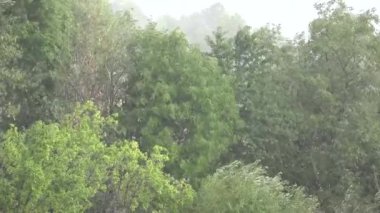 Şiddetli Yağmur, Su Baskını, Şiddetli Yağmur, Şiddetli Yağmur, Doğal Felaket, Felaket, Yağmur, Fırtına, Bulutlar Kötü Hava Durumu