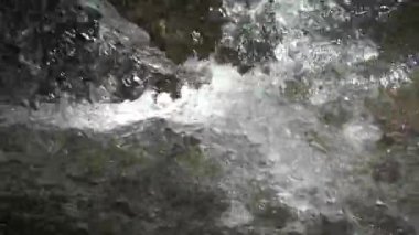 Dağ Nehri, Kristal Şelale Damlaları, Temiz Bahar Taze Suyu, Şeffaf Alp Akımı Dalgaları, Kristal Brook Kapanması