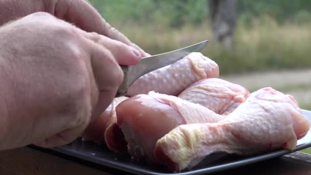 Cooking Grill View Picnic Camping Frying Chicken Cutting Fresh Meat — ストック動画