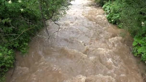 Inundación Calamidad Natural Desastre Río Las Montañas Muddy Stream Stormy — Vídeo de stock