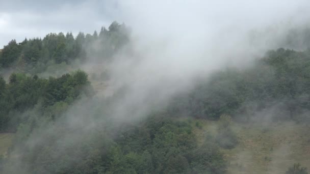 Туман Горах Дождь Лесу Дым Мистический Вид Туман Альпинах Таинственные — стоковое видео