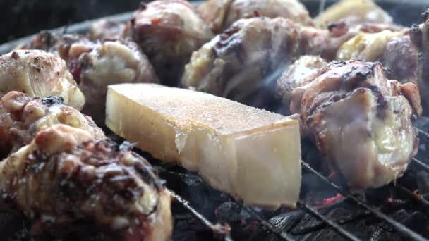 ストリートフード 調理ファーストフード バーベキュー混合フライベーコンポーク キャンプでのピクニックのためのビュー チキン肉とグリルの脂肪 — ストック動画