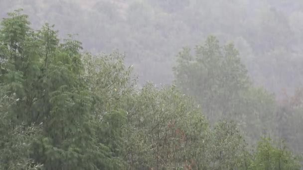 Deszcz Deszcz Chmury Zalewanie Powódź Burza Ulewny Deszcz Naturalne Klęski — Wideo stockowe