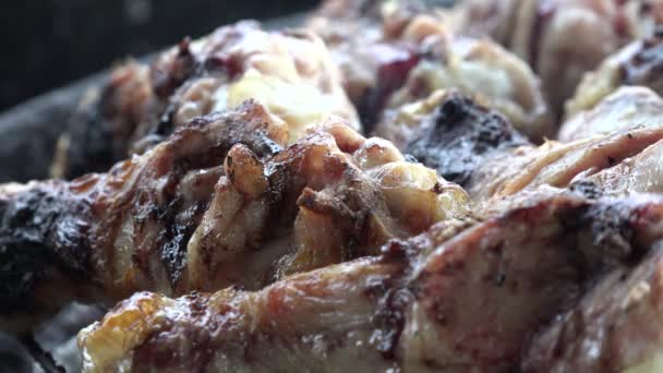 グリル ストリートフード 調理高速食品のチキン肉と脂肪 キャンプでのピクニックのためのビュー — ストック動画