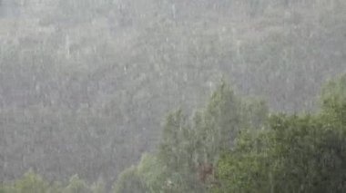 Storm, Torrential Rain, Inundation, Flooding, Raining, Heavy Rainfall, Natural Calamity, Disaster, Rainy, Clouds Bad Weather