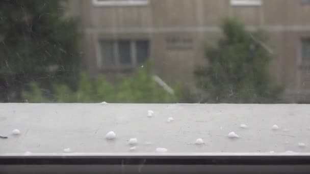Deszcz Burzy Lodowej Ulewny Grad Deszczowy Oknie Zalewanie Powodzie Opady — Wideo stockowe