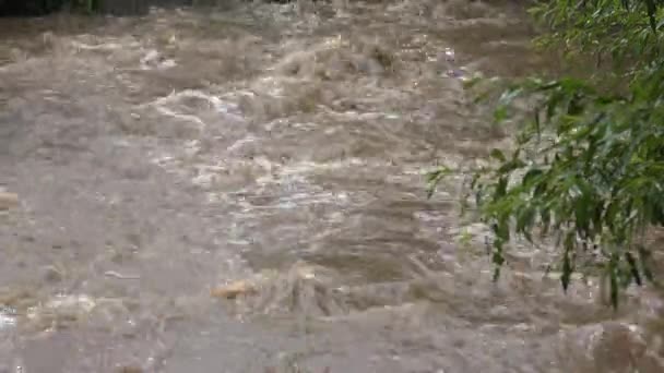 自然災害 山の中の川 嵐の雨の後の泥の流れ 豪雨のクリーク 地球温暖化 — ストック動画