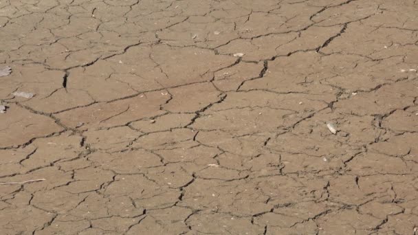 Water Crisis Aridity Mountain River Drought Natural Calamity Rain Disaster — Stock videók