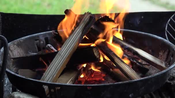 Φωτιά Ξύλο Καύση Φωτιά Για Ψησταριά Προετοιμασία Ψήσιμο Κρέας Μπάρμπεκιου — Αρχείο Βίντεο