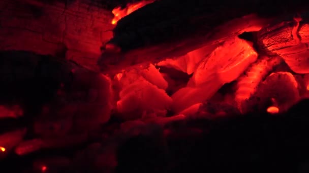 Fire Wood Burning Fire Lighting Flames Smoke Heat Air Pollution — Stok video