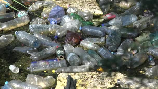 Garbage Plastic Bottles River Pollution Mountains Running Water Trash Polluted — Stock Video