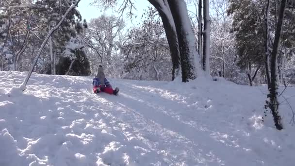 Kid Sledding Snow Mountains Child Playing Winter Girl Sledging Park — Stock video