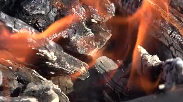 Feuer Flammen Brennendes Holz Feuer Und Rauch Luftverschmutzung Asche Nahaufnahme — Stockvideo