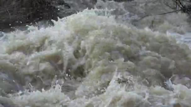 豪雨後の氾濫川 自然災害 嵐雨後の山の中で泥ストリーム クリーク — ストック動画