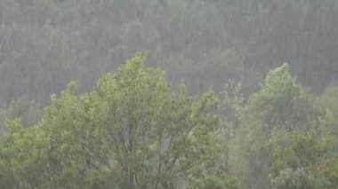 Yağmur, Su baskını, Yağmur, Fırtına, Şiddetli Yağmur, Doğal Felaket, Felaket, Yağmur, Fırtına, Bulutlar Kötü Hava Durumu