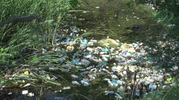 Znečištění Plastové Láhve Horské Řece Odpad Tekoucí Vodě Znečištěné Odpadky — Stock video
