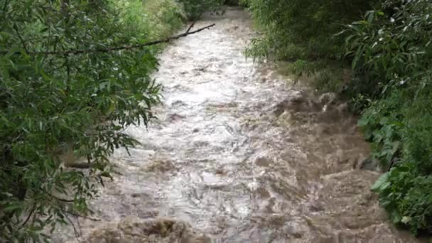 Översvämning Naturkatastrof Katastrof Flod Bergen Lerig Ström Efter Stormigt Regn — Stockvideo