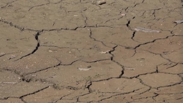 Water Crisis Aridity Mountain River Drought Natural Calamity Rain Disaster — Stock Video