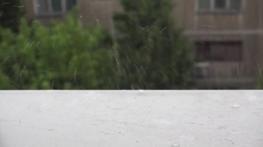 Bardaktan boşanırcasına Sağanak, Sağanak Sağanak Yağmurlu Pencere, Su Baskını, Yağmur, Yağmur, Doğal Felaket Şiddetli Yağmurlu Gün