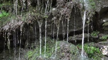 Dağlarda Su Fall Brook, Ormanda Yaz Yağmuru Günü, Orman Nehri Manzarası