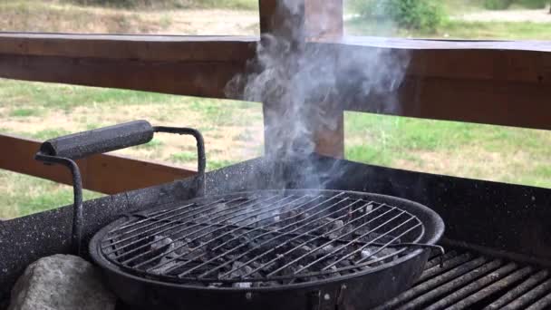 Fire Wood Burning Fire Grill Preparing Roasting Meat Barbecue Camping — Stockvideo