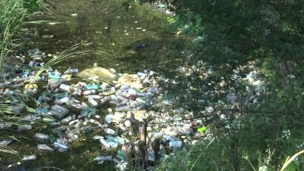 山の川の汚染 ペットボトル 流水のゴミ 汚染されたゴミ 汚染された自然 地球温暖化災害 — ストック動画