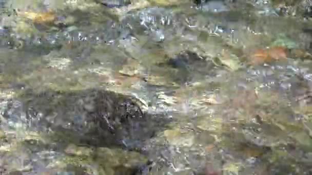 Mountain River Kristály Vízesés Cseppek Tiszta Forrás Friss Víz Átlátszó — Stock videók