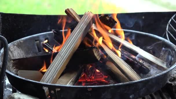 Fire Wood Burning Fire Grill Preparing Roasting Meat Barbecue Camping — Video Stock