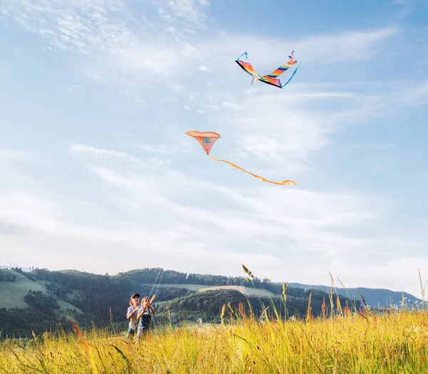 Gülen Kız Kardeş Renkli Uçurtmalarla Fırlatılan Erkek Kardeş Yüksek Çim — Stok fotoğraf
