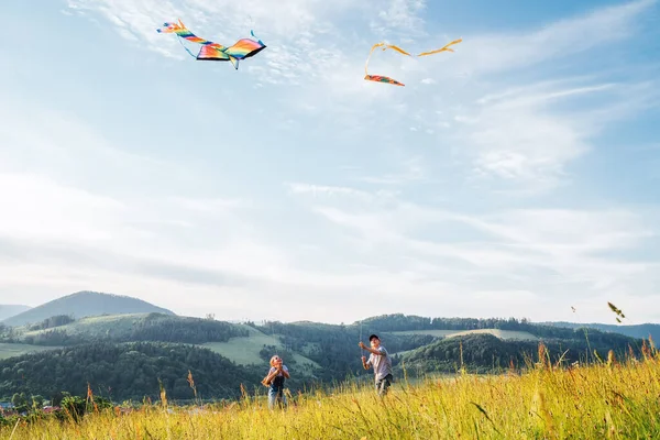 カラフルな凧で弟を起動すると笑顔の子供たちの妹 高い芝生の丘の牧草地で人気の屋外おもちゃ 幸せな子供の頃の瞬間や屋外の時間のコンセプトイメージを過ごす — ストック写真