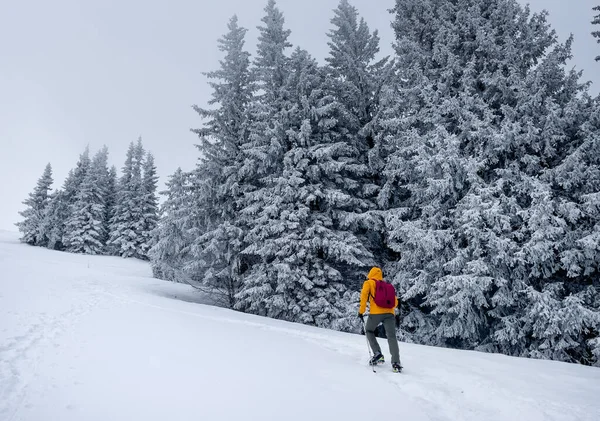 Μοναχικός Ορειβάτης Ντυμένος Πορτοκαλί Μαλακό Μπουφάν Ανεβαίνει Χιονισμένο Λόφο Ανάμεσα — Φωτογραφία Αρχείου