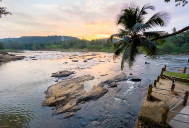 Lonely palm tree with wide angle rocky river sunset landscape with jungle banks in Pinnawala Elephant Orphanage. 