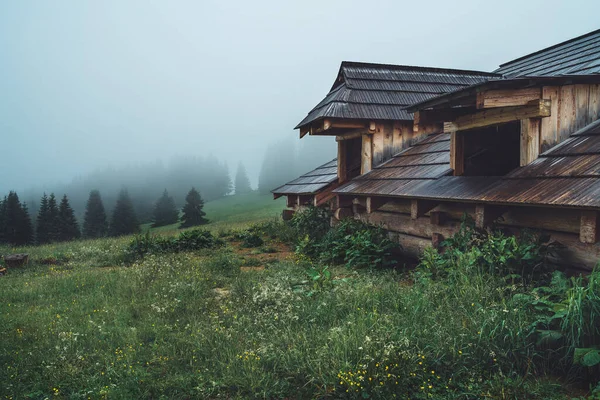 Lesní Pastýřský Dřevěný Dům Širokými Okny Strašidelné Mlhavé Lesní Krajiny — Stock fotografie