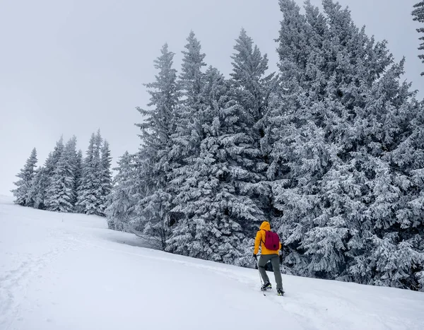 Μοναχικός Ορειβάτης Ντυμένος Πορτοκαλί Μαλακό Μπουφάν Ανεβαίνει Χιονισμένο Λόφο Ανάμεσα — Φωτογραφία Αρχείου