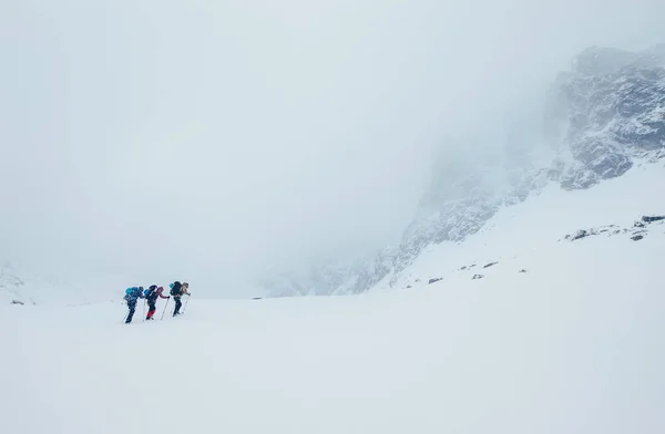 3人のメンバーロープチームは 高い山の冬のピークを登る ロムニッキー スティット ロッキー山脈の下にあるヴィソーク タトリー 高タトラ 山の構造盆地を覆うブリザード 極端なスポーツコンセプト — ストック写真
