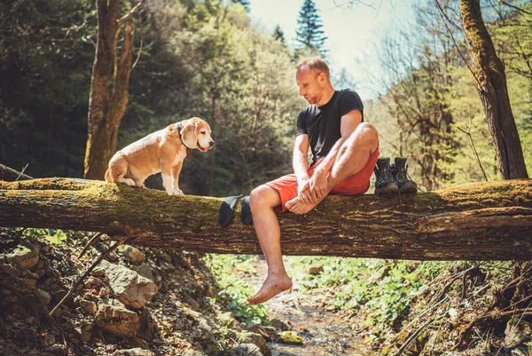 一位中年男子和小猎犬坐在山林溪边倒下的树干上 一边等着洗衣服 晒干靴子和远足靴 带着宠物的概念形象旅行 — 图库照片