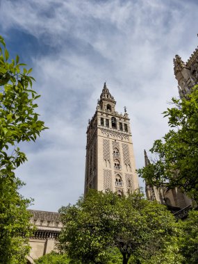 Sevilla Katedrali 'nin La Giralda çan kulesi Seville, Endülüs, İspanya' daki Sevilla de los Naranjos (Portakal ağaçlarının avlusu) avlusundan geniş açılı çekim.