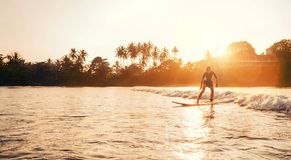 Teen Boy Silhouette Riding Long Surfboard Caught Wave Indian Ocean — Stockfoto