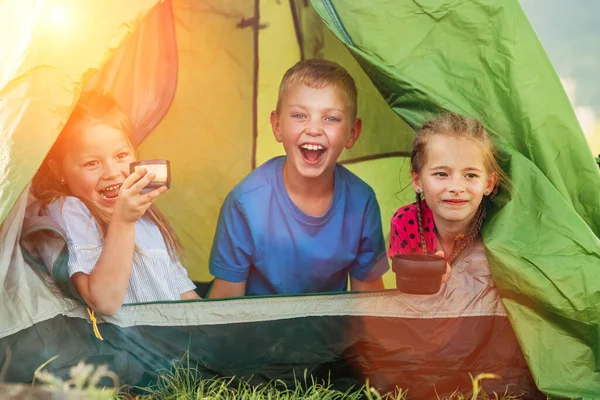 小さな女の子の姉妹と弟の少年は緑のキャンプテントの中でお茶を飲んで座って 陽気に笑って カメラを見て 不注意な子供時代 家族の価値観と屋外活動のコンセプト写真 — ストック写真