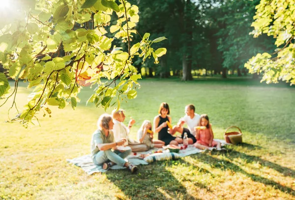 日曜日の晴れた日の週末に市内公園のピクニック毛布の上に座っているビッグファミリーと花のリンデンの木の枝 彼らは笑って昼食を食べています 自然アウトドア活動のコンセプト — ストック写真