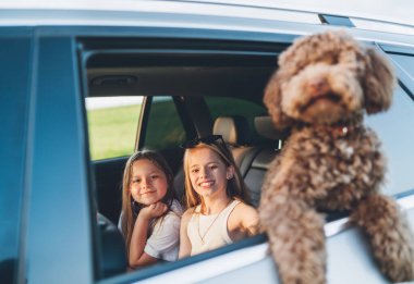 Arka koltuklarda oturan gülümseyen küçük kızlar ve araba yolculuğu sırasında açık pencereden dışarı bakan tüylü kahverengi Maltipoo köpekleri. Modern bir aile kavramında komik hayvanlar.