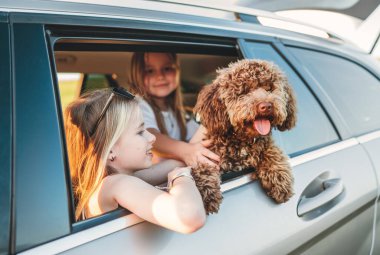 Pofuduk kahverengi Maltipoo köpeği açık bir arabanın camından dışarı bakıyor ve küçük kızlar araba yolculuğu sırasında arka koltuklarında oturuyor. Modern bir aile kavramında komik hayvanlar.
