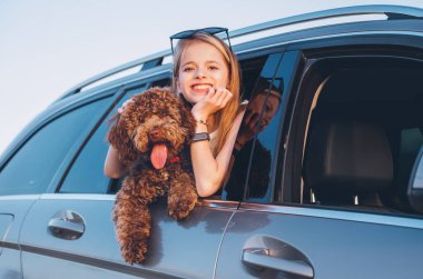 Portre Pofuduk kahverengi Maltipoo köpeği ve açık araba penceresinden bakan küçük kız araba yolculuğu sırasında arka koltukta otururken. Modern bir aile kavramında komik hayvanlar.